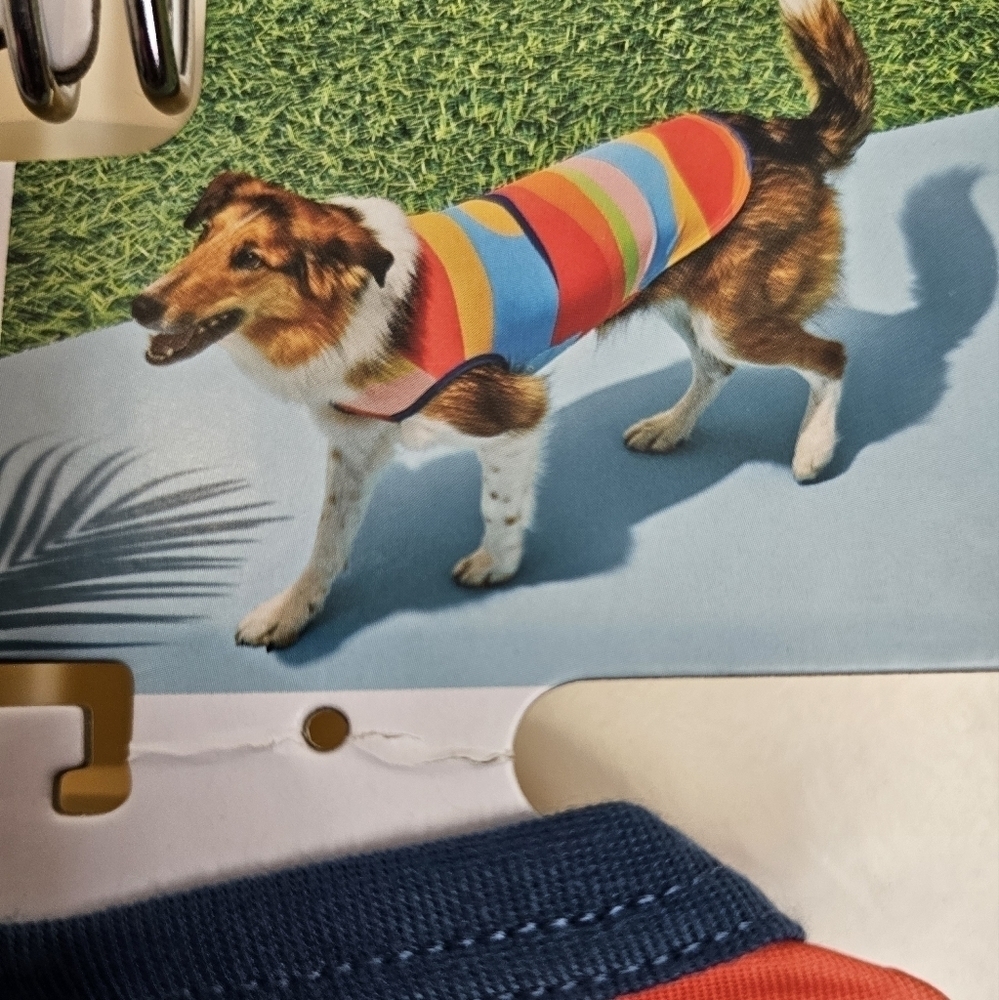 Pet Rainbow Tank